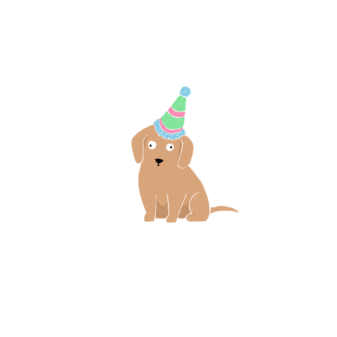 Happy Birthday Dog GIF by Thoka Maer - Find & Share on GIPHY